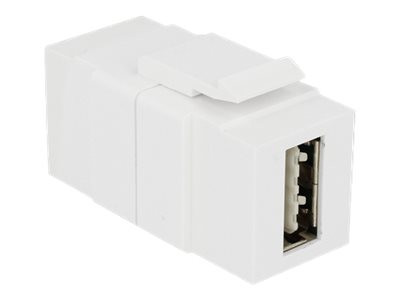 DeLOCK Keystone Easy USB 2.0 St-St A weiß