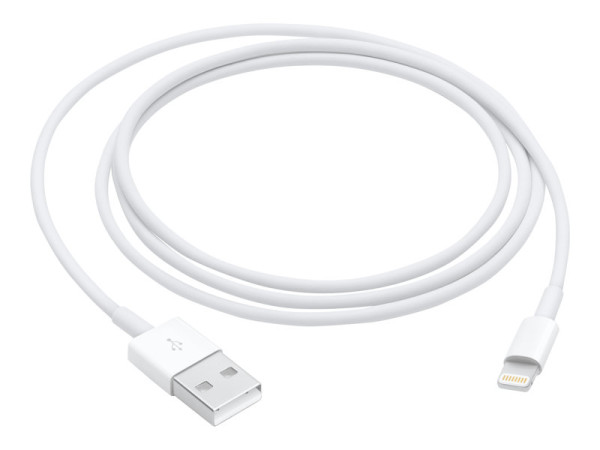 Apple Lightning auf USB Kabel 1m | MQUE2ZM/A weiß, 1
