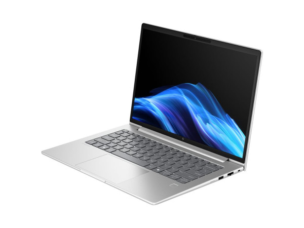 HP EliteBook 6 G1a (AD3J3ET) (silber, AMD Ryzen 5 230, AMD