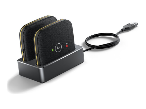 Yealink CPW65 Package (schwarz)