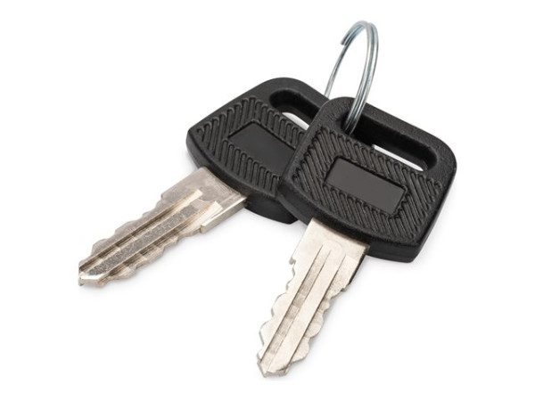 Digitus Schlüssel für Wandgehäuse Dynamic Serie, SOHO 10" &