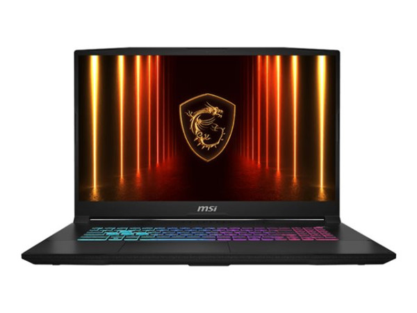 MSI Katana 17 HX B14WGK-065 (schwarz, Intel® Core?