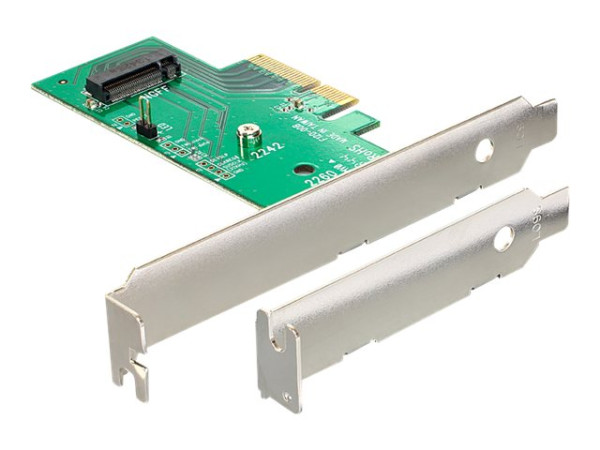 Riser Card Delock PCIe x4 -> M.2 NGFF + PCI Express x4