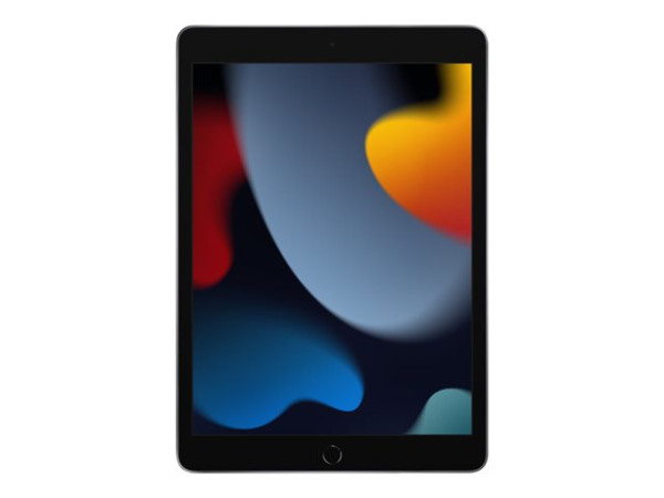 Apple iPad 10,2 WiFi 9.Gen 256GB gy | MK2N3FD/A