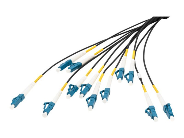 Digitus Digitus LWL Breakoutkabel SM OS2 12F LC/UPC-LC/UPC