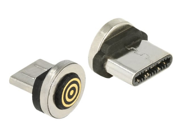 DeLOCK mag. Adapter USB-C Stecker Für magnetisches