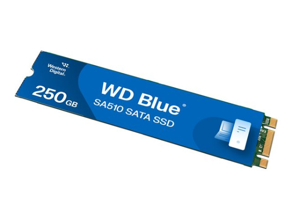 Western Digital SSD 250GB SA510 Blue SSD M.2 WES