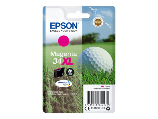 Epson Tinte MG C13T34734010 DURABrite