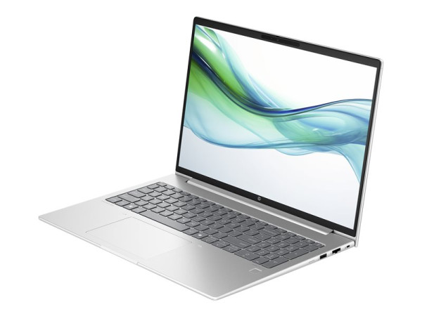 HP ProBook 460 G11 (9C0H8EA) (silber, Windows 11 Pro