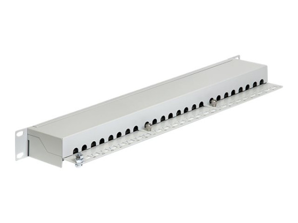 DeLOCK 19" Patchpanel 24Port Cat.6 gy | 43300