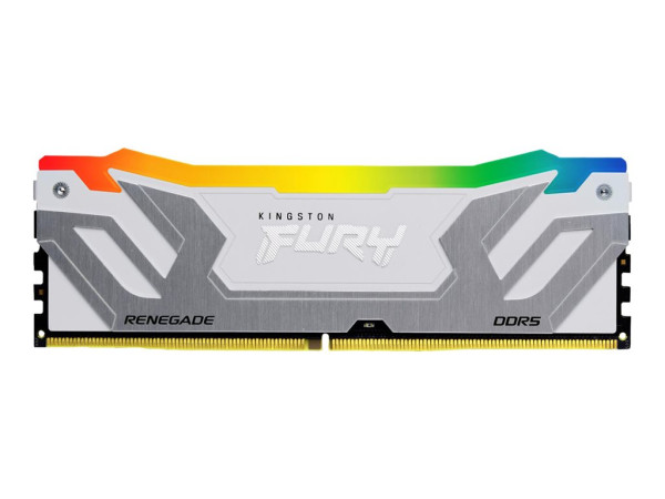 Kingston DIMM 24 GB DDR5-8800 (silber/weiß,