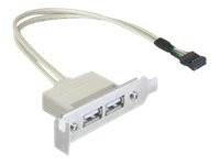 IT Produkte DeLOCK Slotblech USB 2.0 Low Profile 2 Port