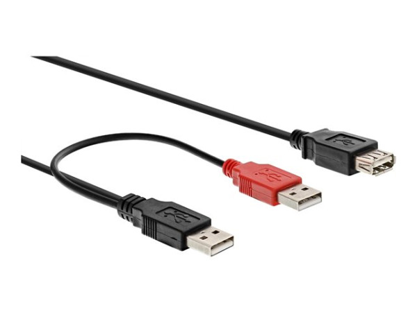 InLine® USB 2.0 Y-Anschlusskabel, 2x Stecker A an Buchse A,