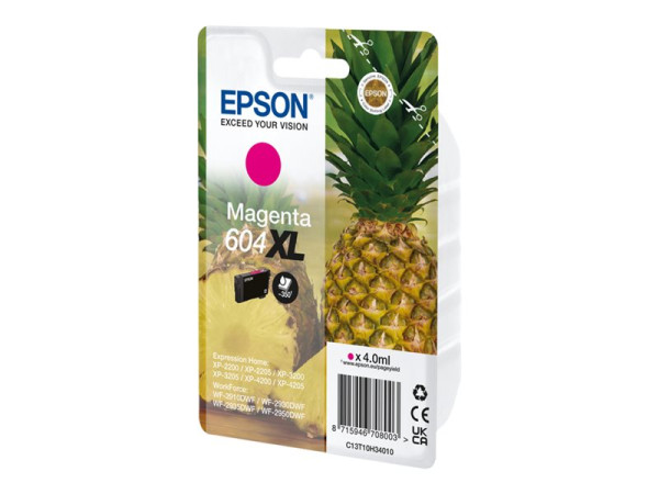 Epson Tinte MG C13T10H34010