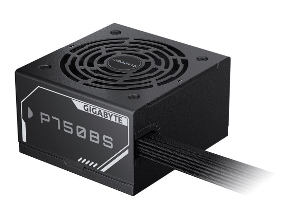 GigaByte GP-P 750 BS