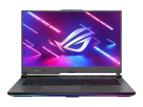Asus ROG Strix G17 (G713PI-LL122) (grau, ohne
