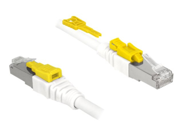 Fractal Design DeLOCK RJ45 Secure Cat. 6A 3m