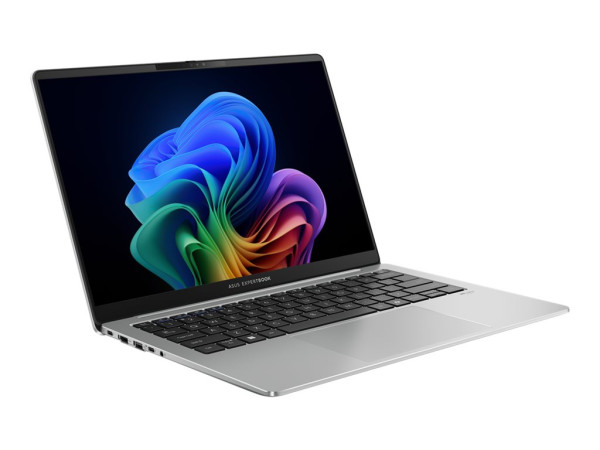 Asus Expert Book P5 (V5405CSA-NZ0372W) (silber, Windows 11