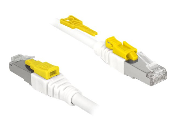 Kabel DELOCK RJ45 Secure Cat. 6A 5m