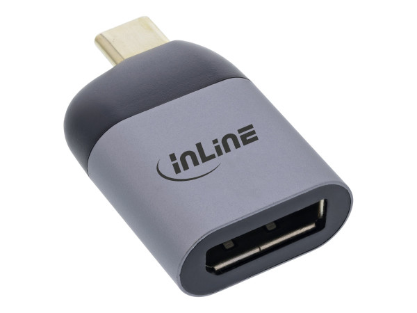 InLine USB Display Konverter, USB Typ-C Stecker zu DisplayP