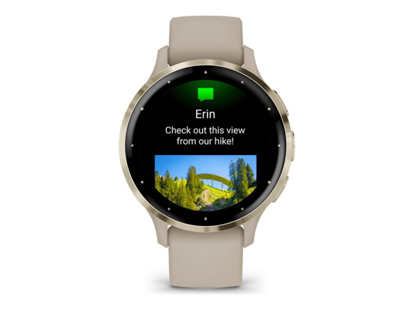 Garmin Garmin Venu 3S 41mm french gray/gold
