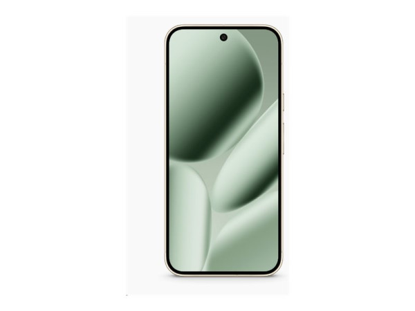 Google Pixel 10 Pro XL 256GB (Jade, Android, 16 GB)