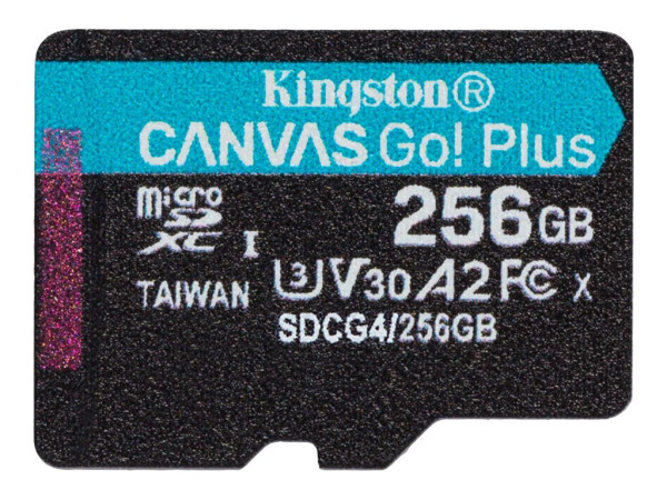 Kingston Canvas Go! Plus 256 GB microSDXC (schwarz, UHS-I
