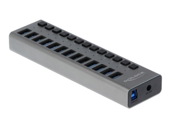 DeLOCK Delock Ext. SS USB Hub 13Ports +Schalter | 63738