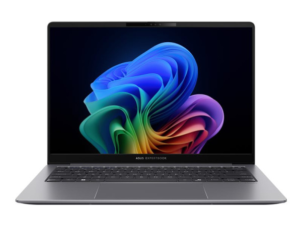 Asus ExpertBook P5 (P5405CSA-NZ0101X) (grau, Intel® Core?