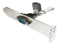 Adapter Slotblech seriell 9pol. Assmann/DeLock 25cm Adapter Slotblech seriell 9pol. Assmann/DeLock 25cm