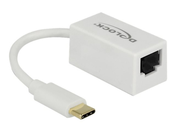 DeLOCK USB 3.1 mit USB C St> RJ45 Bu wh weiß,