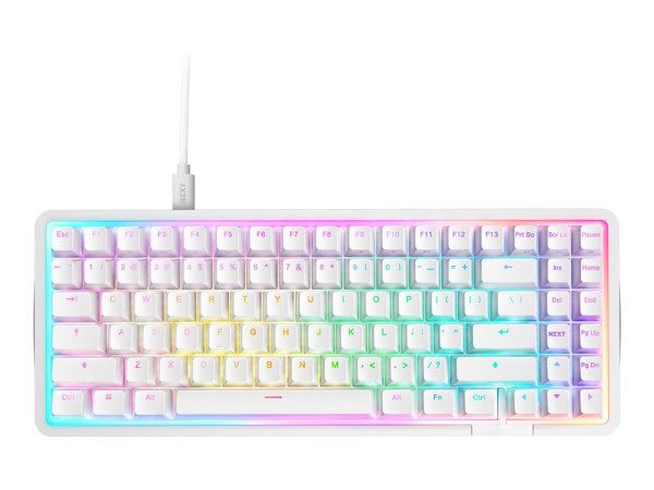 NZXT FUNCTION Elite MiniTKL (weiß, DE-Layout, NZXT Swift)
