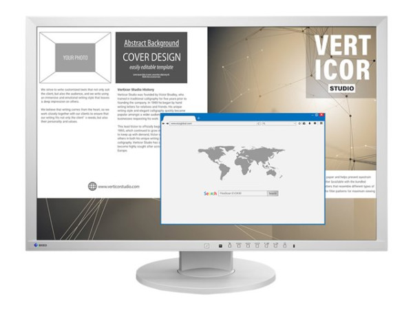 EIZO 24 L EV2430-GY grau, Ergonomischer Standfuß, DVI,