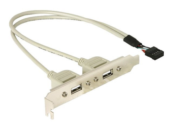 Adapter Schnittstellenslotblech 2xUSB DeLock auf 10-Pin