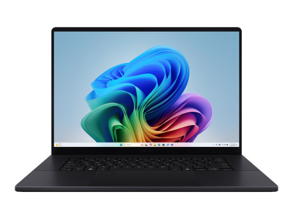 Asus ProArt P16 (H7606WM-RJ049X) (schwarz, AMD Ryzen AI 9