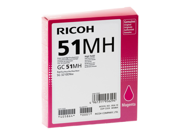 Ricoh Gel mg HY SG3210