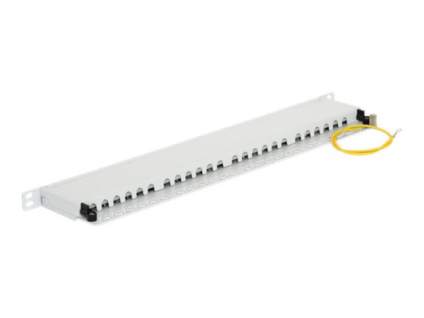 DeLOCK 19"Patchpanel 24P Cat.6 0.5 HE gy grau