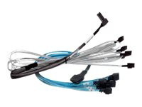 Kabel Broadcom SFF8643 x8 -> 2 x SFF8639 x4 1,0m U.2 Enable