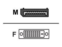 Sharkoon SHA DP 1.2 to DVI24+1 Adapter wh 0,15m weiß,