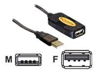 USB Kabel Delock A -> A St/Bu 30.00m sw Verl.