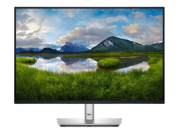 Dell P2425E (61 cm (24 Zoll), schwarz/silber, WUXGA, IPS,