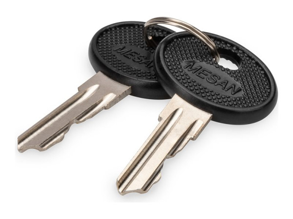 Digitus Schlüssel für Varioflex-N, Unique Serverschränke,