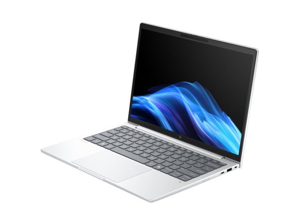 HP EliteBook 8 G1a (AD3E2ET) (silber, AMD Ryzen 5 230, AMD