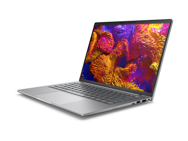 HP ZBook 8 G1ak (A3ZT3ET) (silber, AMD Ryzen AI 7 PRO 350,