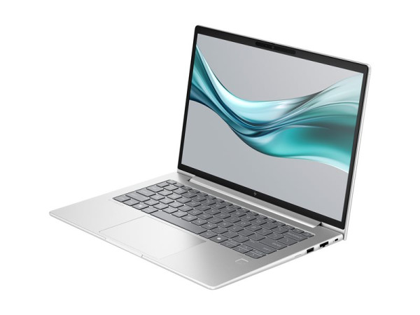HP EliteBook 645 G11 AMD Ryzen 5 7535U 35,6cm (14