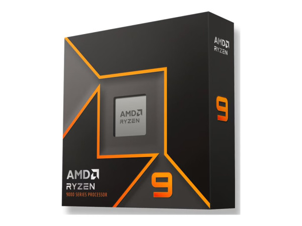 AMD Ryzen 9 9900X (Boxed-Version)