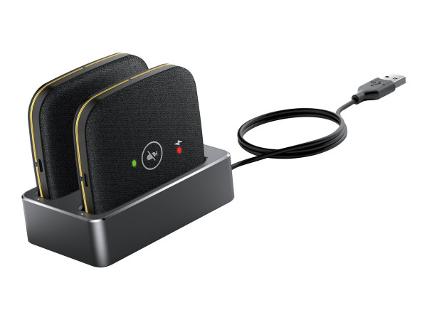 Yealink CPW65-DECT-Duo (schwarz, Kabelloses