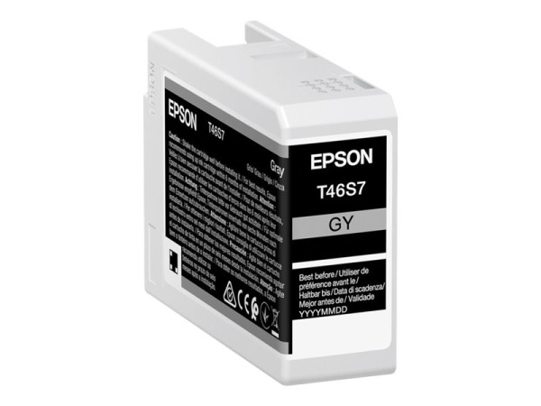 Epson Tinte gy C13T46S700 | 26ml