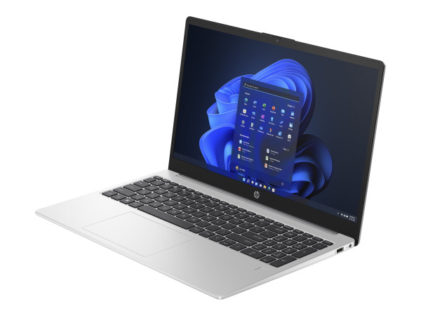 HP 250 G10 (9V1L5AT) (silber, Windows 11 Pro 64-Bit, 39.6