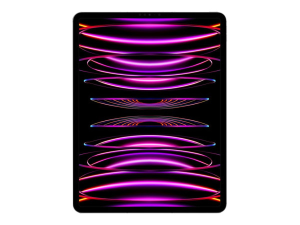 Apple iPad Pro12.9 WiFi+Cell 6Gen 1TB gr MP243FD/A